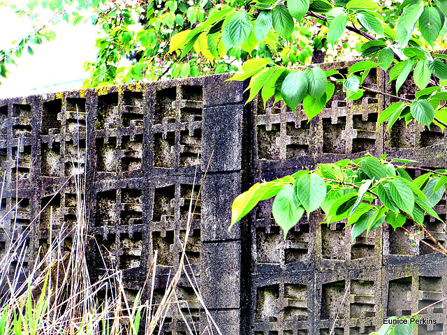 Leafy Fence