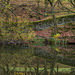 Lodge reflections