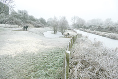 HFF to everyone.. from a frosty 'Chesterfield canal'