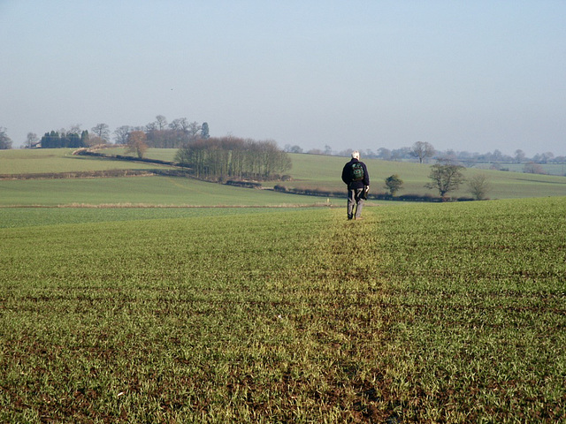 Footpath leading towards Nailstone