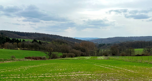 DE - Rheinbach - Landschaft bei Hilberath