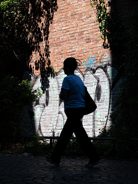 Silhouette
