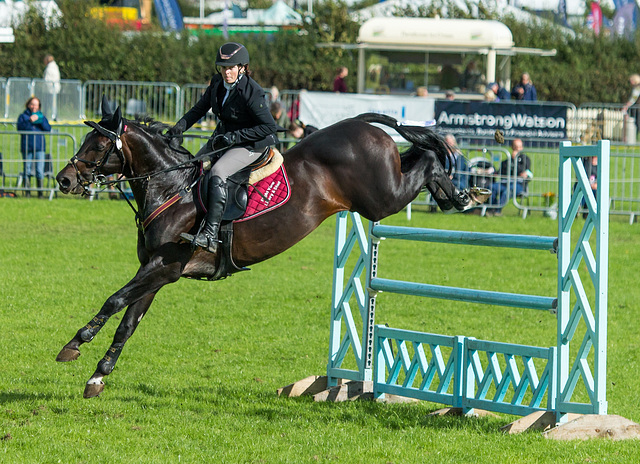 The Westmorland County Show The Westmorland County Show