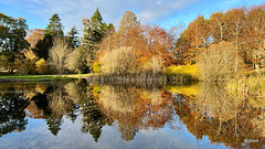 Autumn colours