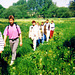 1995-05-20 05 Domholschänke