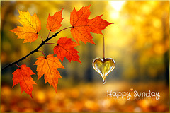 Einen schönen Sonntag ☀️