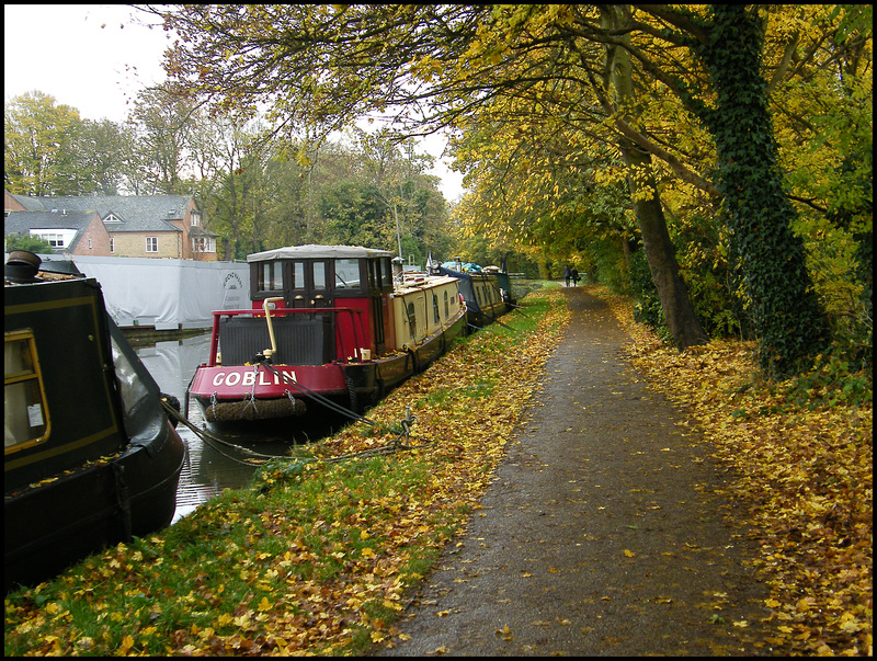 Goblin on the canalside