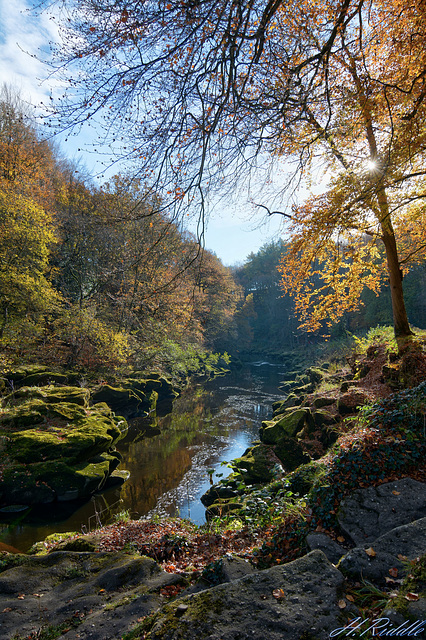 The Strid in Autumn