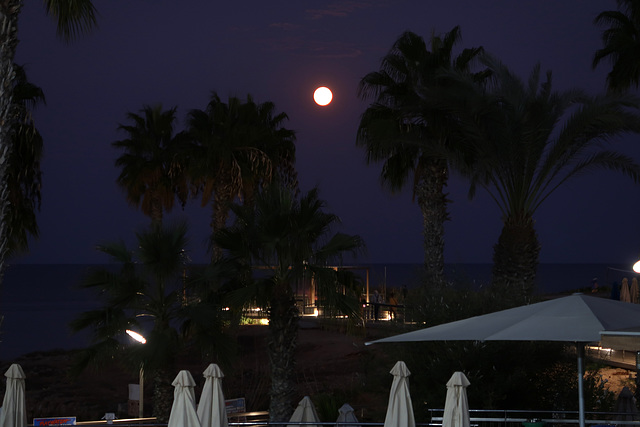 Moon over the sea, later