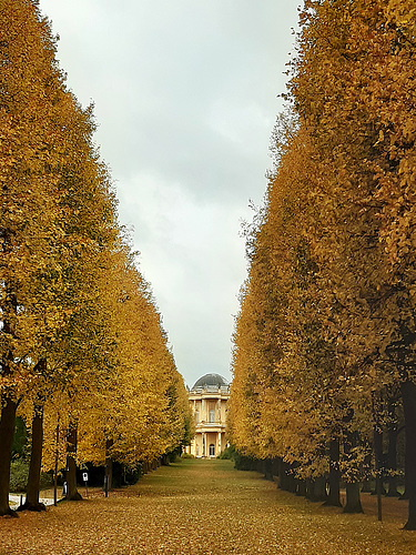 herbstliche Grüße