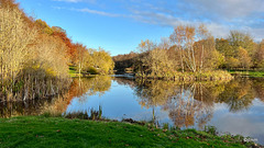 Autumn colours