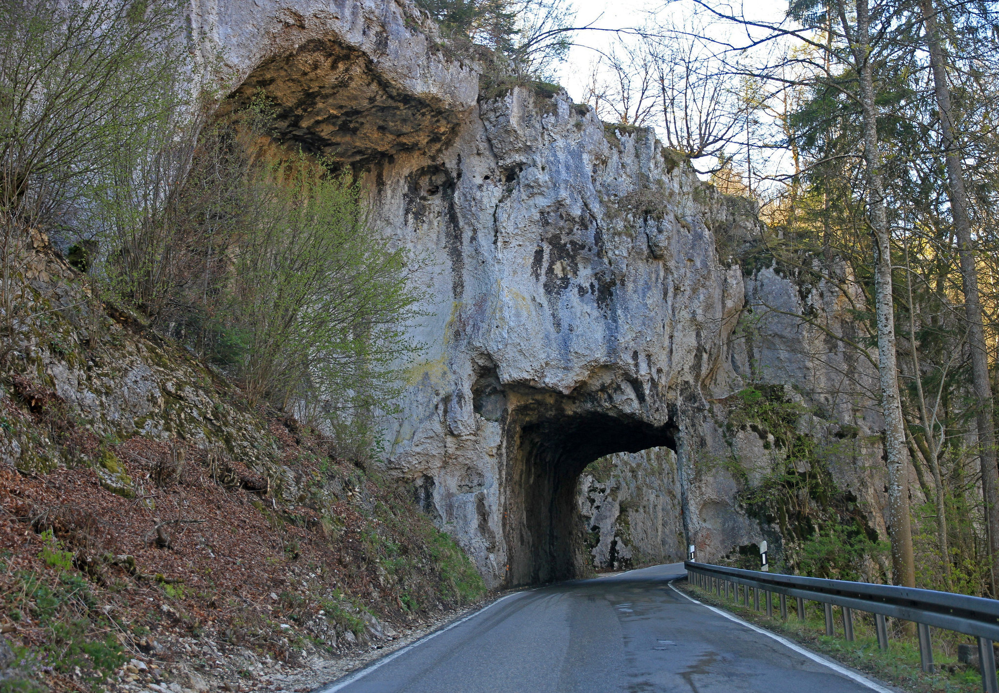 Entlang der Donau