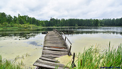 Topilo-See im Bialowieza-Urwald