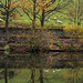 Lodge Reflections