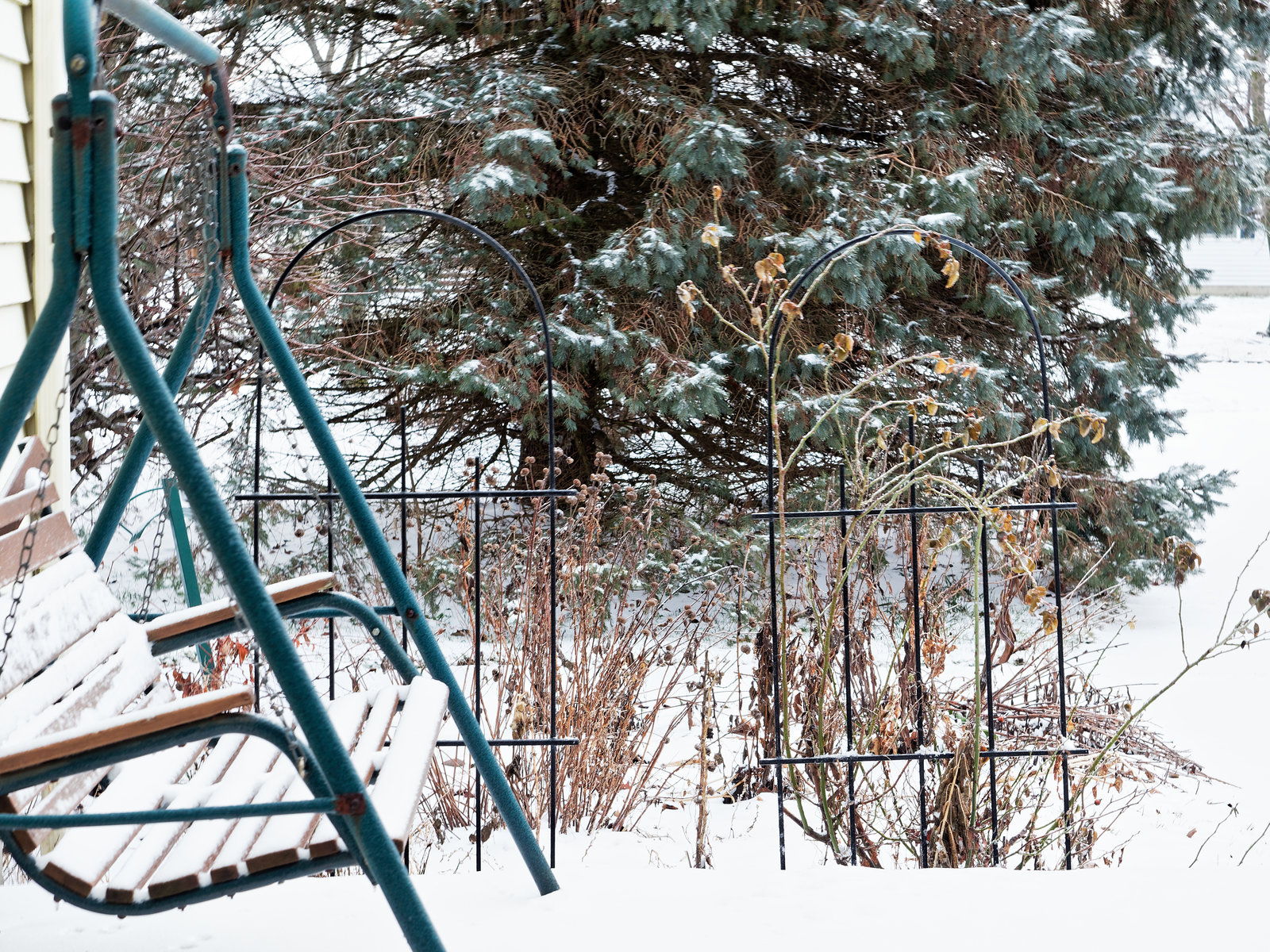 Deck, Swing, Trellis