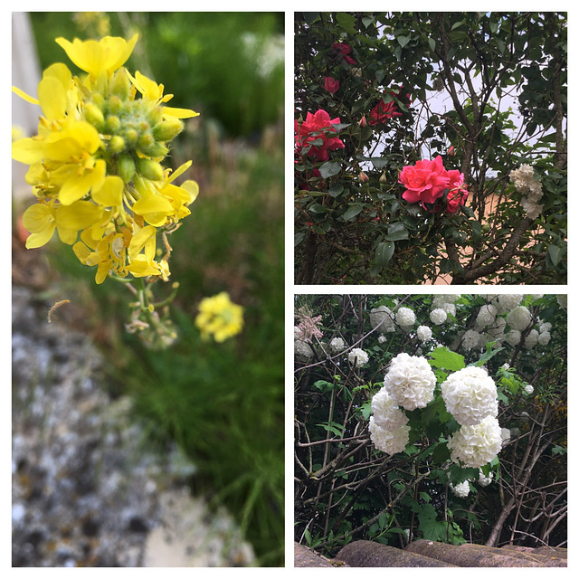 Au bord du chemin