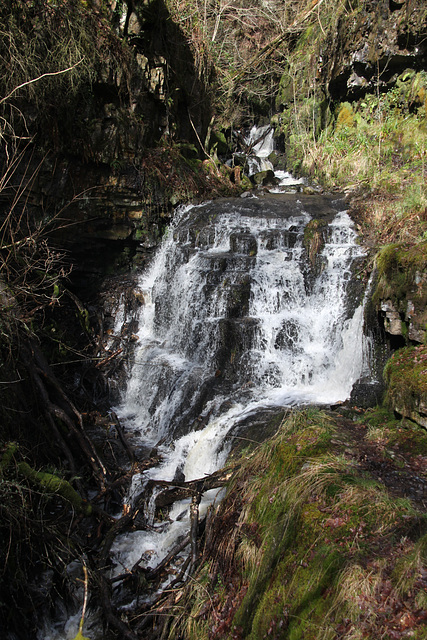 Neath Valley Waterfalls