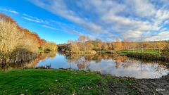 Autumn colours