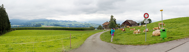 120902 panorama Buchholterberg