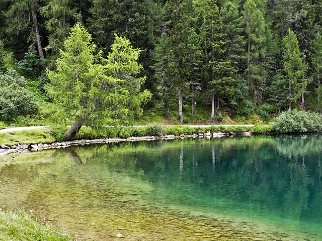 The mirrored of nature in the Sankt Moritz lake, Switzerland