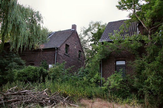 Verwildertes Gelände der Zeche Heinrich Robert (Hamm-Wiescherhöfen) / 22.06.2019