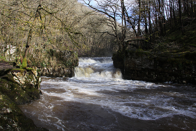 Neath Valley Waterfalls