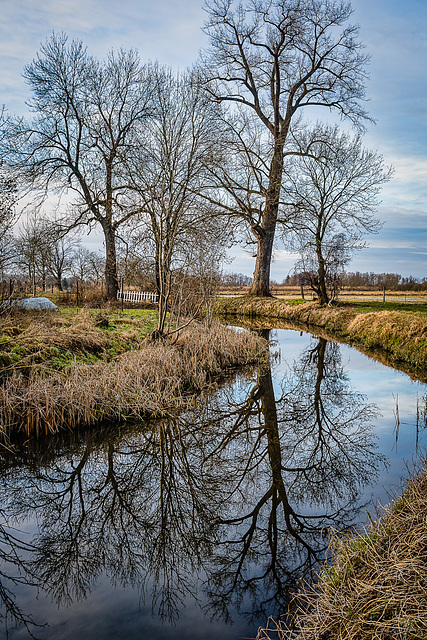 Spiegelung in Linum