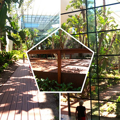 The renewed Champalimaud Foundation interior garden The renewed Champalimaud Foundation interior garden