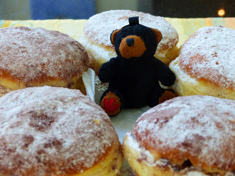 20/50  - Canabear's Latwersch-Kreppel .... Hmmm