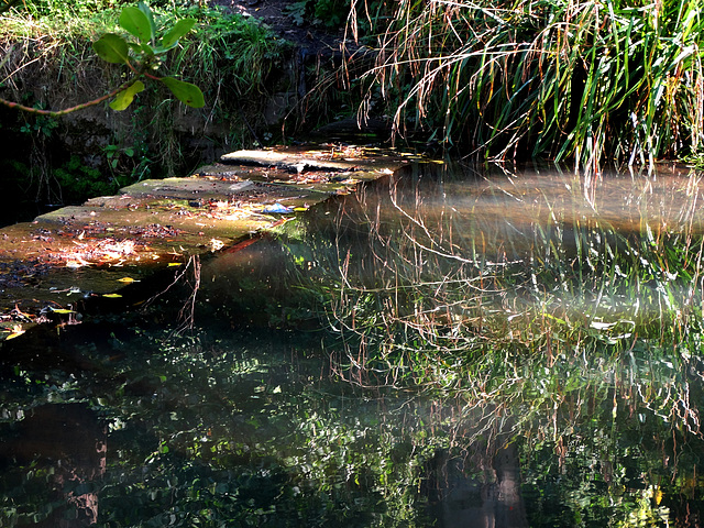 The Weir