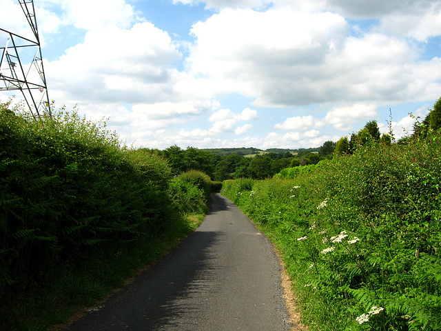 Lane leading from Roman Road to Gothersley Bridge