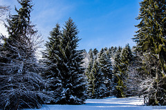 Winter bei Herrischried (© Buelipix)