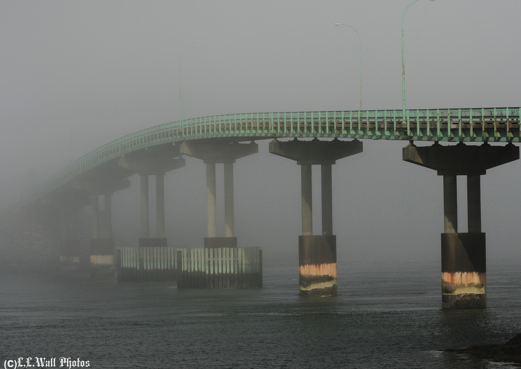 Bridge Into The Mist
