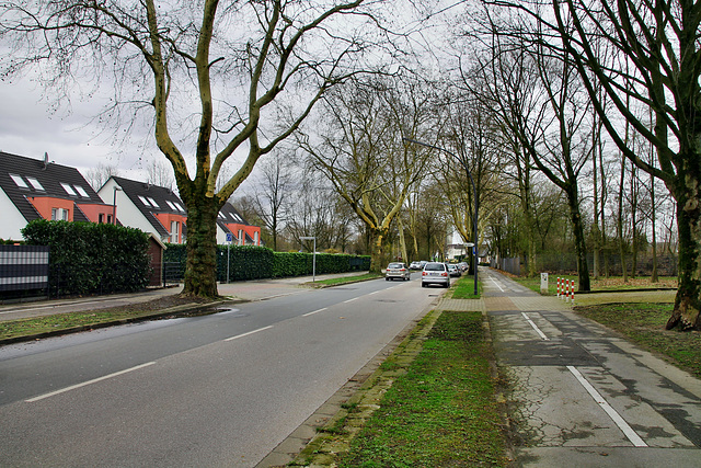 Valentinstraße (Gelsenkirchen-Hassel) / 9.03.2019