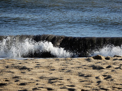 la mer a toujours quelque chose à dire,