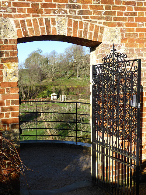 Painswick Rococo Garden (4) - 19 January 2020