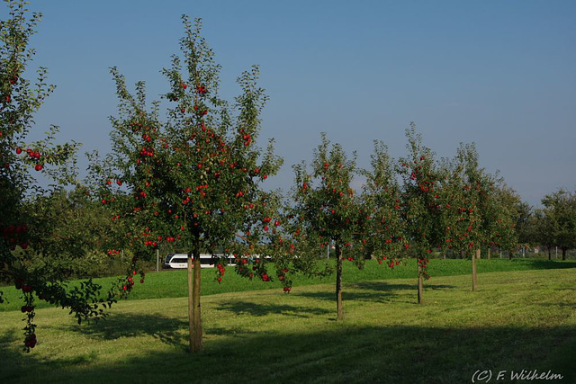 BÖ0003275 BÖ0003275