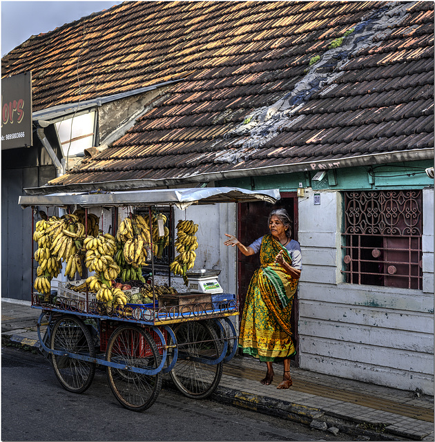 Banana Seller, Cochin