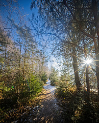 Hier kommt man in einen schönen Mischwald :)) Here you come into a beautiful mixed forest :)) Ici vous entrez dans une belle forêt mixte :))