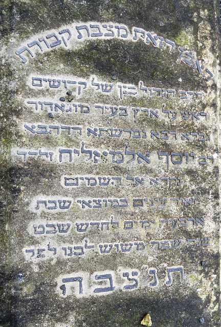 novo sephardi cemetery, mile end, london (11)