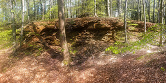 20160501 125852HHw [D~SHG] Steinwand, Paschenburg/Pagenburg, Rinteln, Schaumburg