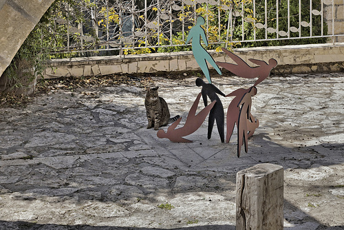 Watching the Watcher – Artists’ Village, Ein Hod, Haifa District, Israel