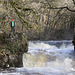 Neath Valley Waterfalls