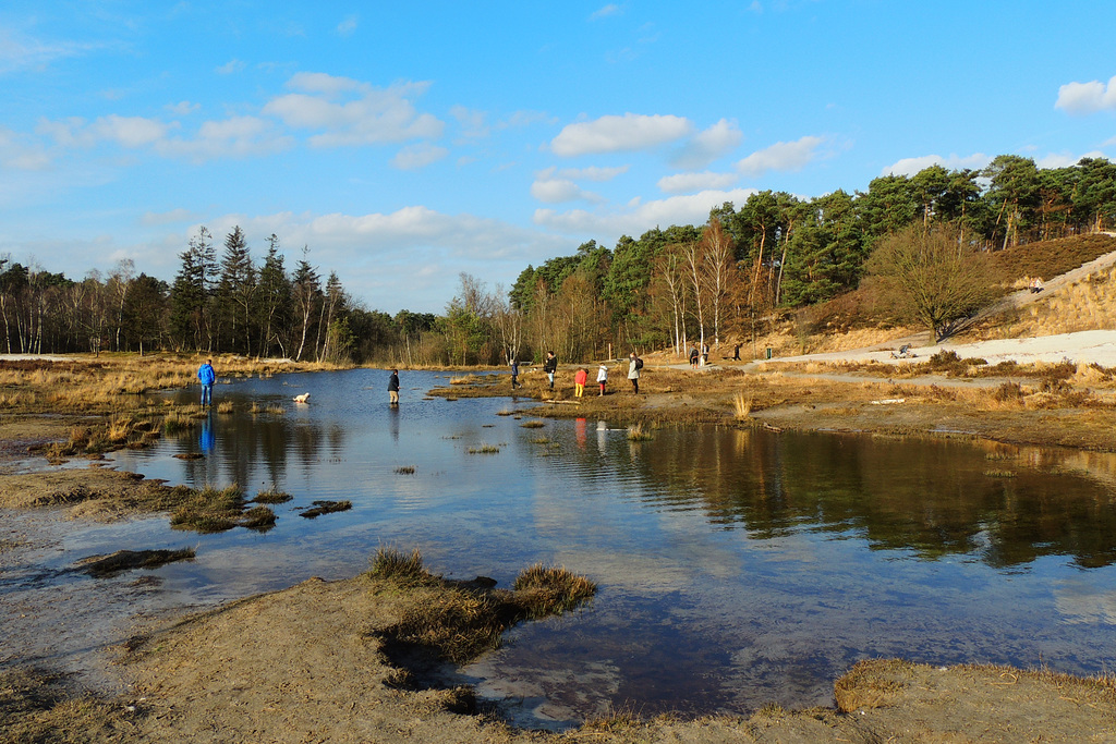 Moor impressions (2)