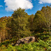 Snowdonia scenery