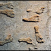 Footprints at the White Sands Locality 2 site