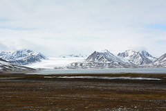 Svalbard, Northern Coast of Isfjørden, Low Tide