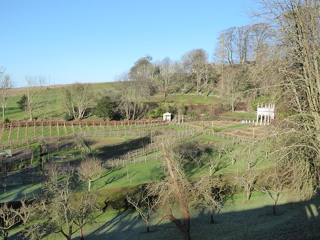 Painswick Rococo Garden (6) - 19 January 2020