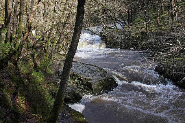 Neath Valley Waterfalls