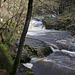 Neath Valley Waterfalls